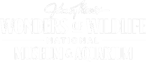 Johnny Morris' Wonders of Wildlife National Museum and Aquarium Logo in White