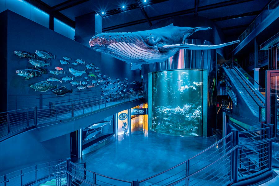 Aquarium Adventure | Visit Ozarks National Museum & Aquarium
