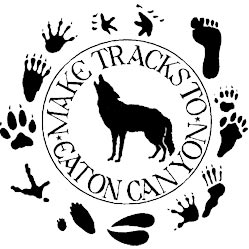 Eaton Canyon Logo
