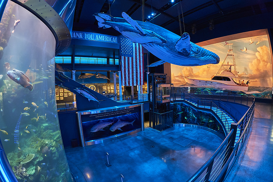 Wonders of Wildlife National Museum and Aquarium in Springfield, Missouri